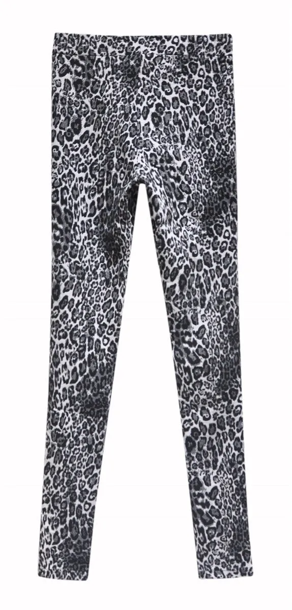 ANIMAL PRINT LEGGINGS L2